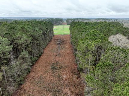 Land for sale in Covington County, Mississippi