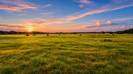 Land for sale in Hamilton County, Texas