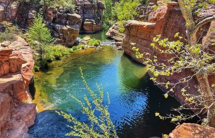 Timberland Property in Navajo County, Arizona