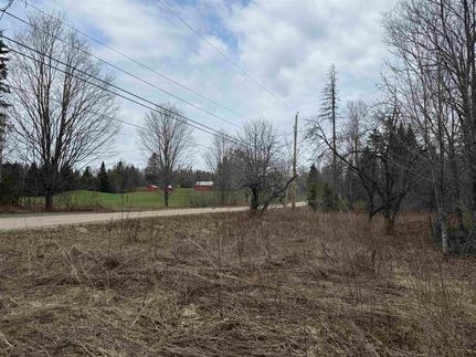 Undeveloped Land for sale in Caledonia County, Vermont