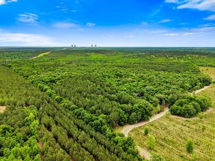 Undeveloped Land for sale in Burke County, Georgia