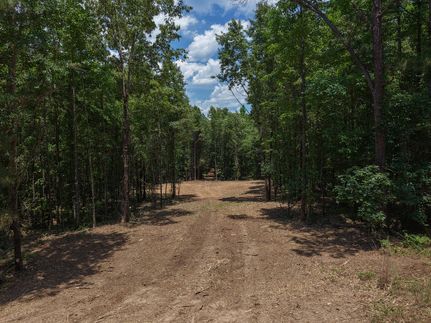 Timberland Property for sale in Cass County, Texas