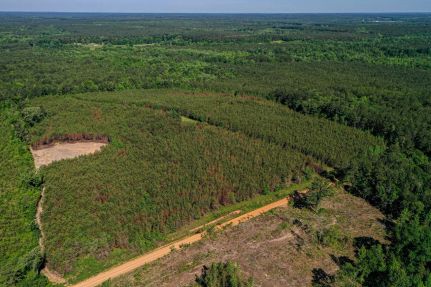 Timberland Property for sale in Choctaw County, Mississippi