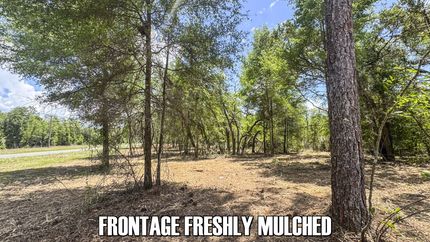 Undeveloped Land for sale in Levy County, Florida