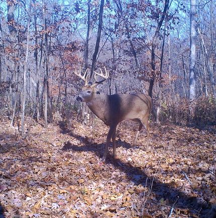 Hunting Property for sale in Hardin County, Illinois