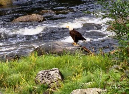 Land for sale in Idaho County, Idaho