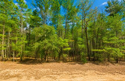Recreational Property for sale in Putnam County, Florida