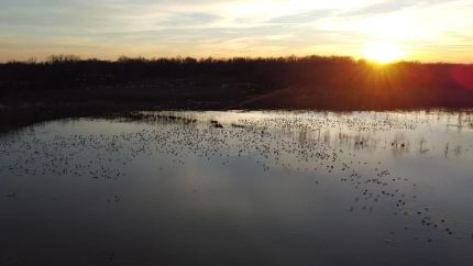 Timberland Property for sale in Stoddard County, Missouri