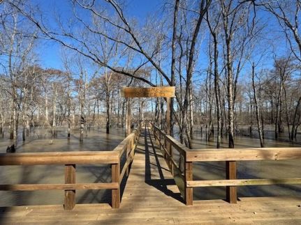 Land for sale in Arkansas County, Arkansas