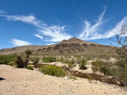 Farm and Ranch in Brewster County, Texas