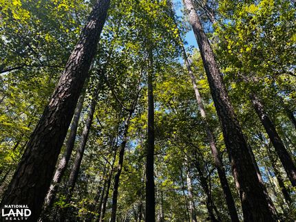 Farm and Ranch for sale in Gloucester County, Virginia