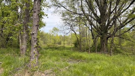 Timberland Property for sale in Trumbull County, Ohio