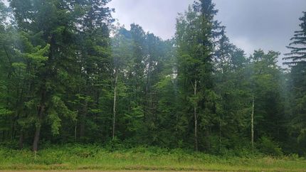 Undeveloped Land for sale in Price County, Wisconsin