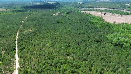 Hunting Property for sale in Kershaw County, South Carolina