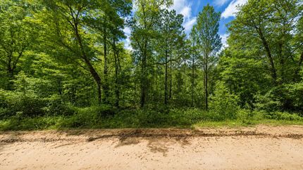 Undeveloped Land for sale in Putnam County, Florida