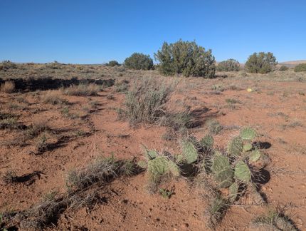 Farm and Ranch for sale in Apache County, Arizona