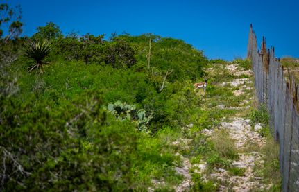 Farm and Ranch for sale in Uvalde County, Texas