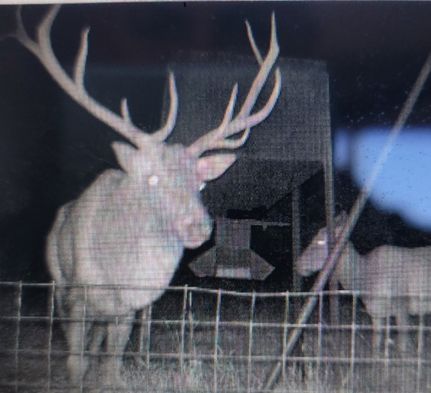 Recreational Property for sale in Edwards County, Texas