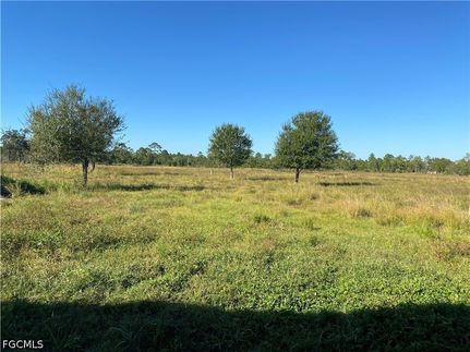Land for sale in Hendry County, Florida