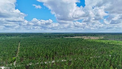 Farm and Ranch for sale in Wayne County, Georgia