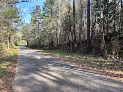 Land for sale in Clarke County, Mississippi