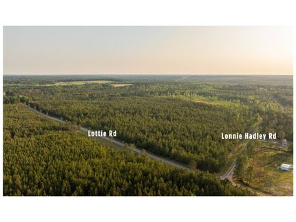 Undeveloped Land for sale in Baldwin County, Alabama