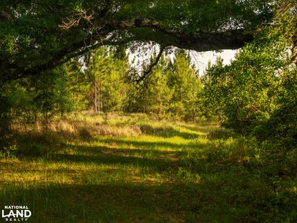 Land for sale in Baldwin County, Alabama