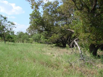 Farm and Ranch for sale in Taylor County, Texas