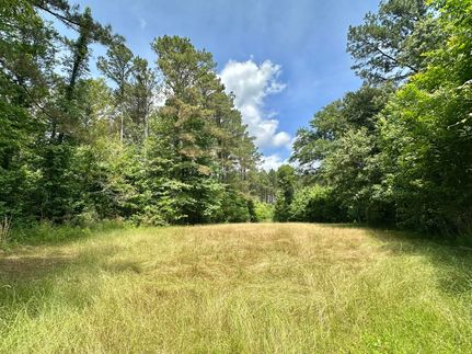 Land for sale in Scott County, Mississippi