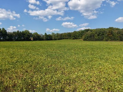 Farm and Ranch in Decatur County, Tennessee