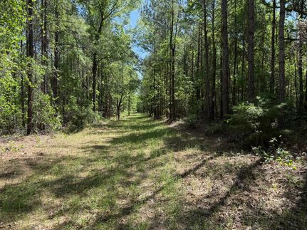 Undeveloped Land for sale in Early County, Georgia