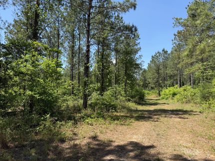 Recreational Property for sale in Early County, Georgia