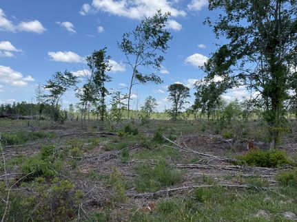 Land for sale in Early County, Georgia