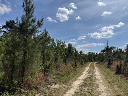 Recreational Property for sale in Early County, Georgia