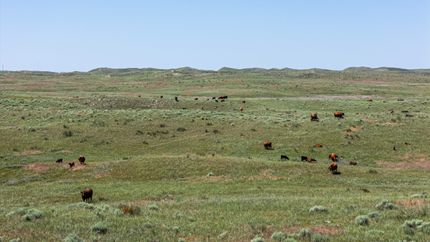 Recreational Property for sale in Morrill County, Nebraska