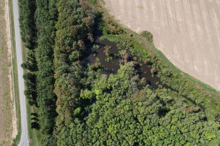 Recreational Property for sale in Leflore County, Mississippi