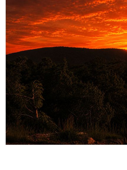 Hunting Property for sale in Randolph County, North Carolina