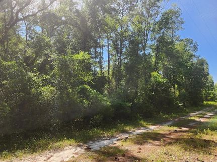 Land for sale in Hamilton County, Florida