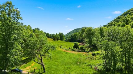 Undeveloped Land for sale in Scott County, Virginia