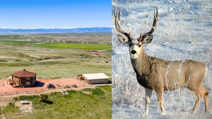 Farm and Ranch for sale in Sheridan County, Wyoming