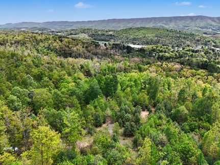 Undeveloped Land for sale in Bland County, Virginia