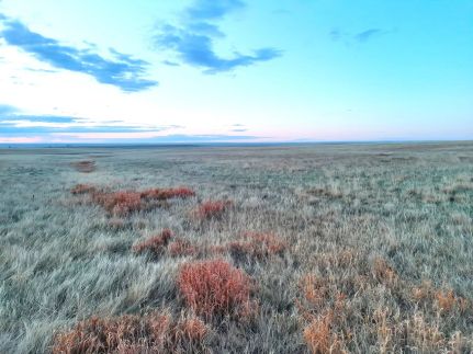 Farm and Ranch for sale in Adams County, Colorado