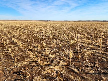 Undeveloped Land for sale in Kimball County, Nebraska
