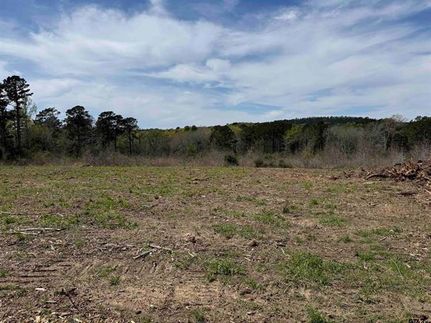 Undeveloped Land for sale in Cherokee County, Texas
