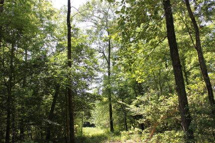 Recreational Property for sale in Polk County, Texas