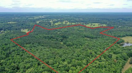 Land for sale in Panola County, Texas