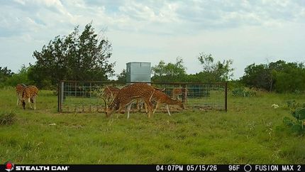 Farm and Ranch in Kinney County, Texas