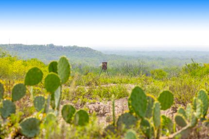 Recreational Property for sale in McMullen County, Texas