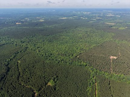 Timberland Property for sale in Marion County, Texas