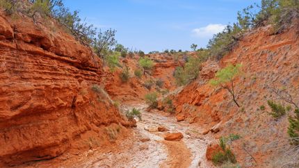 Hunting Property for sale in Fisher County, Texas